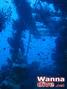 scuba diving photo