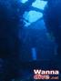 scuba diving photo