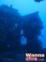 scuba diving photo