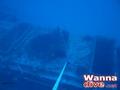 scuba diving photo