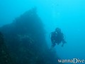 scuba diving photo