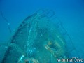 scuba diving photo