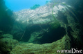 scuba diving photo