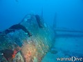 scuba diving photo