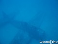 scuba diving photo