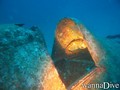 scuba diving photo