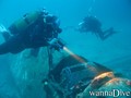 scuba diving photo
