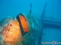 scuba diving photo