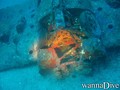 scuba diving photo