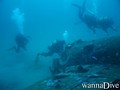 scuba diving photo