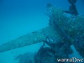 scuba diving photo