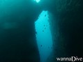 scuba diving photo