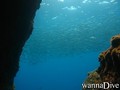 scuba diving photo
