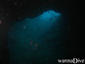 scuba diving photo