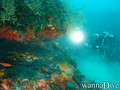 scuba diving photo