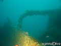 scuba diving photo