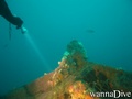 scuba diving photo