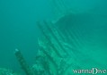 scuba diving photo