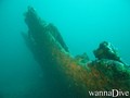 scuba diving photo