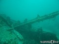 scuba diving photo