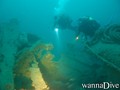 scuba diving photo