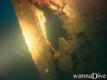 scuba diving photo
