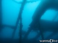 scuba diving photo
