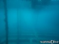 scuba diving photo