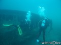 scuba diving photo