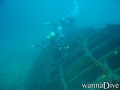scuba diving photo