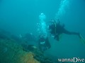 scuba diving photo