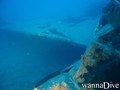 scuba diving photo