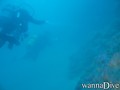 scuba diving photo