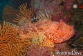 foto de buceo