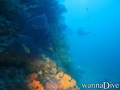 foto de buceo