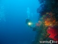 foto de buceo