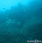 scuba diving photo