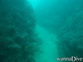 scuba diving photo