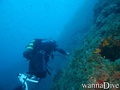 scuba diving photo