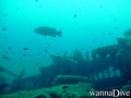 scuba diving photo