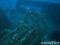 scuba diving photo