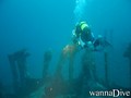 scuba diving photo