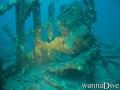 scuba diving photo
