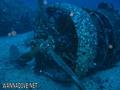 scuba diving photo