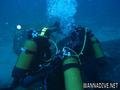 scuba diving photo