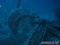 scuba diving photo