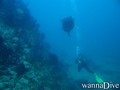 scuba diving photo