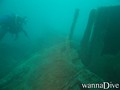 scuba diving photo