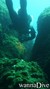 scuba diving photo