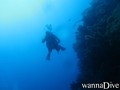 scuba diving photo
